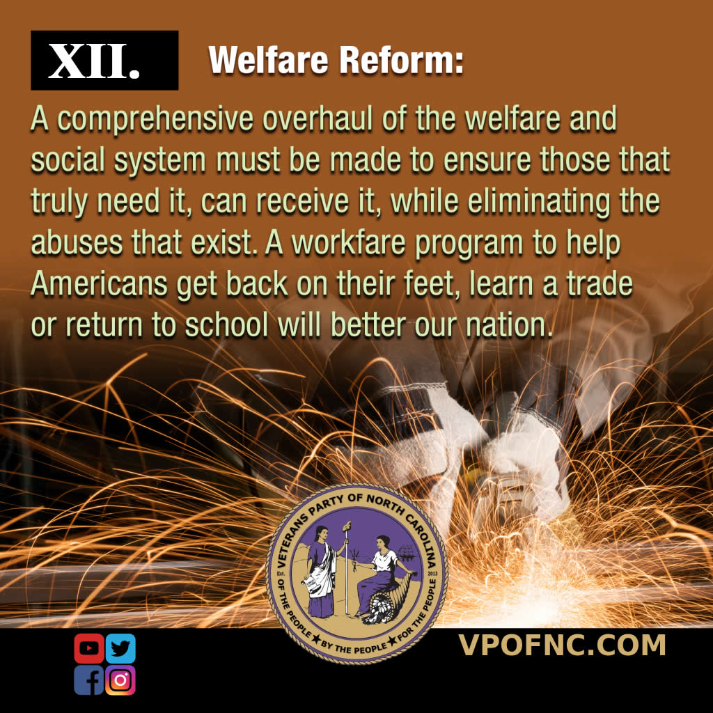 Our Platform Description