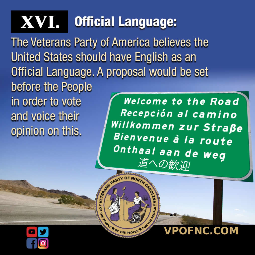 Our Platform Description