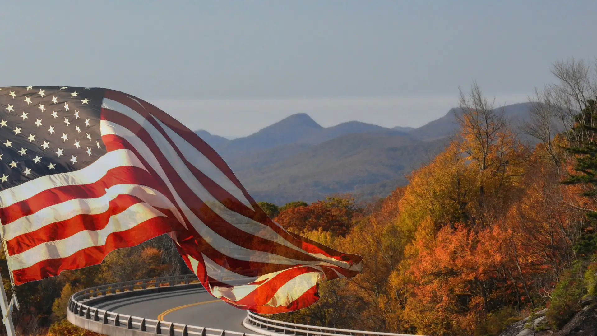 veteran-party-of-nc-hero1b